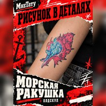 Переводная татуировка Морская ракушка