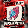 přenosné tetování mořská lastura