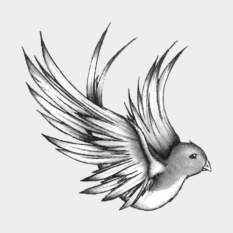 tatouage éphémère l’hirondelle préférée