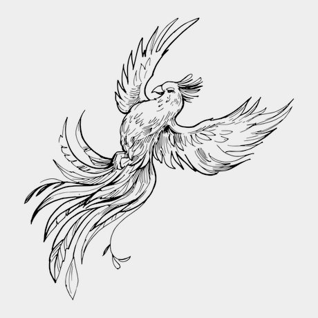 tatuaggio temporaneo alba della fenice
